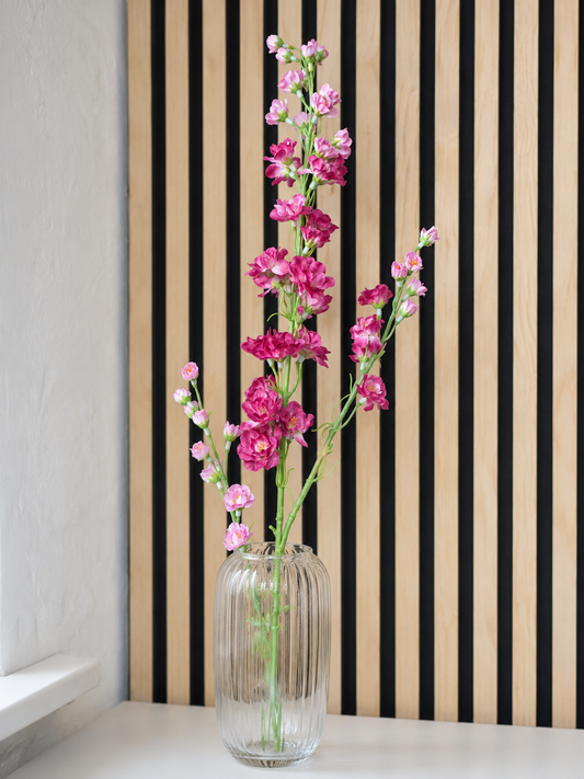 Delphinium erika