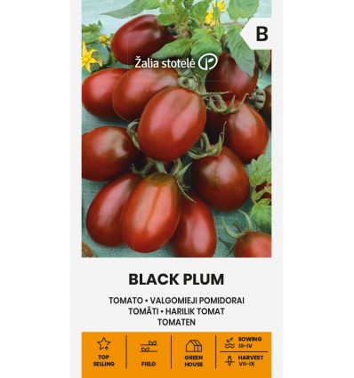 TOMAT BLACK PLUM