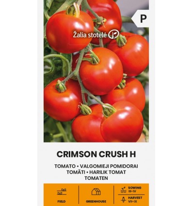 TOMAT CRIMSON CRUSH H