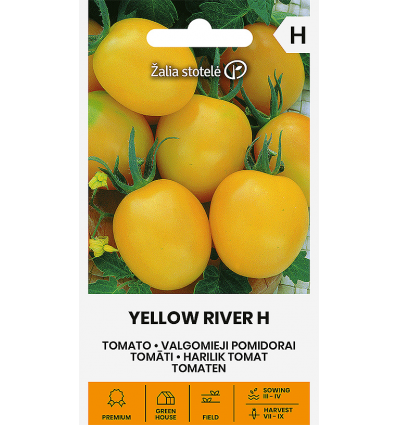 TOMAT YELLOW RIVER H