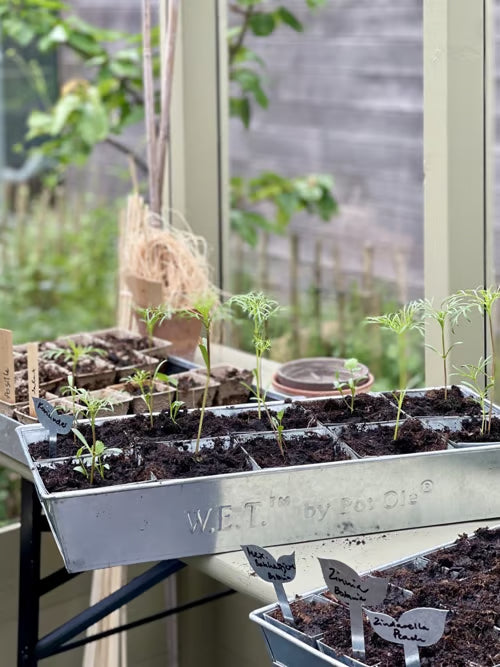 spirebakke i zink med 10 potter