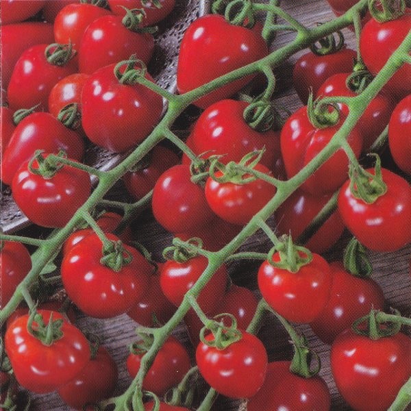 Cherrytomat 'Gardenberry F1'