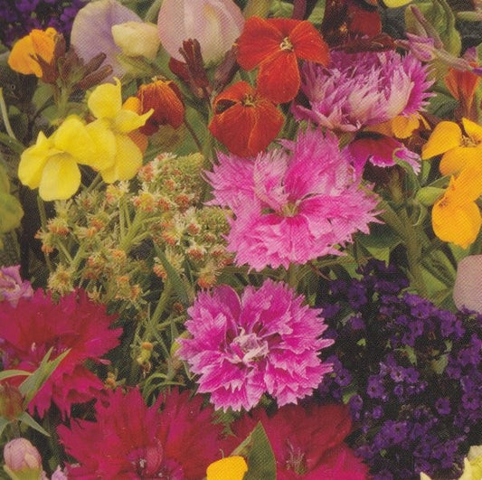 Blomsterblanding 'Fragrant flowers', 125 g