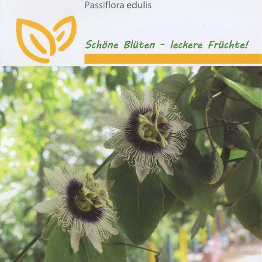 Passiflora edulis, Passionsblomst